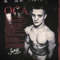 Постер песни Jamik - Оса