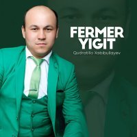 Постер песни Qudratillo Xabibullayev - Fermer yigit