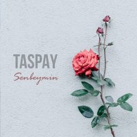 Постер песни Taspay - Senbeymin