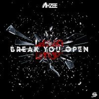 Постер песни Ahzee - Break You Open