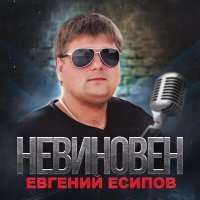 Постер песни Евгений Есипов - В ХОРОШЕМ НАСТРОЕНИИ