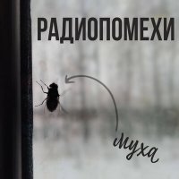 Постер песни Радиопомехи - Муха