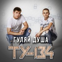 Постер песни ТУ-134 - Два билета