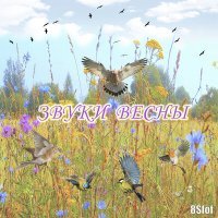 Постер песни 8Slof - Приди, весна