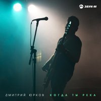 Постер песни Дмитрий Юрков - Да здравствуют лужи! (New Version)