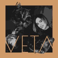 Постер песни VETA - Провода