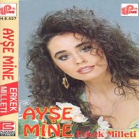 Постер песни Ayşe Mine - Erkek Milleti