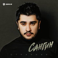 Постер песни Сангин - Странник