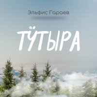 Постер песни Эльфис Гараев - Тӱтыра