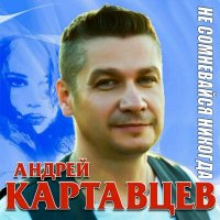 Постер песни Андрей Картавцев - Под новый год