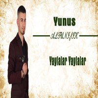 Постер песни Yunus Altunışık - Yaylalar Yaylalar