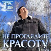 Постер песни Игорь Слуцкий - Не проглядите красоту