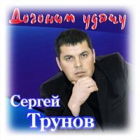 Постер песни Сергей Трунов - Метель подруга