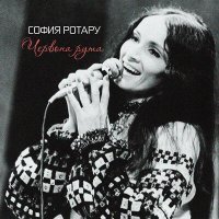 Постер песни София Ротару - Жёлтый лист