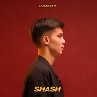 Постер песни Dosekesh - Shash