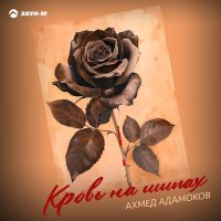 Постер песни Ахмед Адамоков - Кровь на шипах