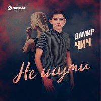 Постер песни Дамир Чич - Не шути