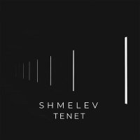 Постер песни SHMELEV - TENET