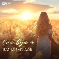 Постер песни Вагид Вагидов - Сан вун я