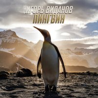 Постер песни Игорь Виданов - Пингвин (Remix)