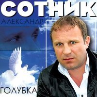 Постер песни Александр Сотник - Голуби