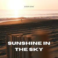 Постер песни Aver King - Sunshine in the Sky