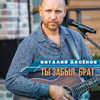 Постер песни Виталий Аксёнов - Ты забыл, брат…