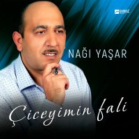 Постер песни Naği Yaşar - Çiceyimin falı