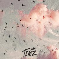 Постер песни TIMZ - Айя