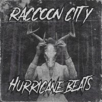 Постер песни Hurricane Beats - Raccoon City