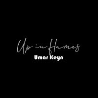 Постер песни Umar Keyn - Up in flames
