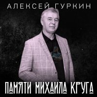 Постер песни Алексей Гуркин - Дворовая песня