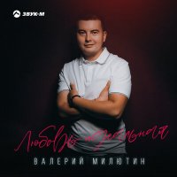 Постер песни Валерий Милютин - Любовь идеальная