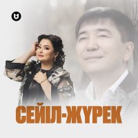 Постер песни Роза Әлқожа - Сейіл-жүрек