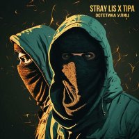 Постер песни Stray Lis, Tipa - Эстетика улиц