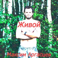 Постер песни Максим Аргасцев - Я так люблю тебя