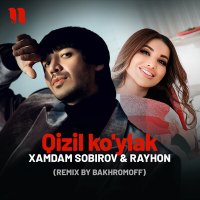 Постер песни Хамдам Собиров & Райхон - Qizil ko'ylak