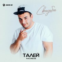 Постер песни Талей Насибов - Свадьба