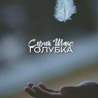 Постер песни Сергей Шанс - Голубка