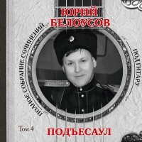 Постер песни Юрий Белоусов - Ворон не кружи