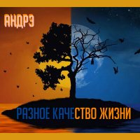 Постер песни АНДРЭ(СПб) - Бегут года
