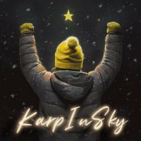 Постер песни KarpInSky - Альбомы