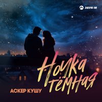 Постер песни Аскер Кушу - Ночка темная