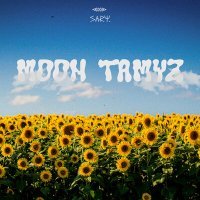 Постер песни sary - Moon Tamyz