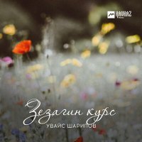 Постер песни Увайс Шарипов - Сом дlа воьду