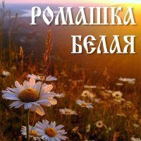 Постер песни АРТ-ГРУППА LARGO - Ромашка белая