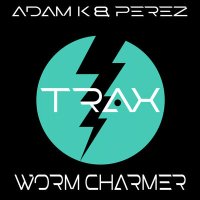 Постер песни Adam K, Perez - Worm Charmer