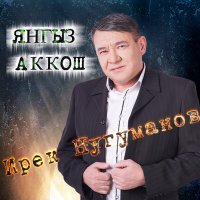 Постер песни Ирек Нугуманов - Янгыз Аккош (DBG Project Remix)