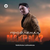 Постер песни Төлеуғазы Сайламғазы - Проблемаң махр ма?