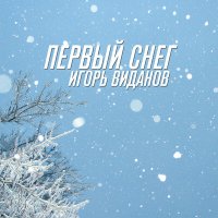 Постер песни Игорь Виданов - Первый снег